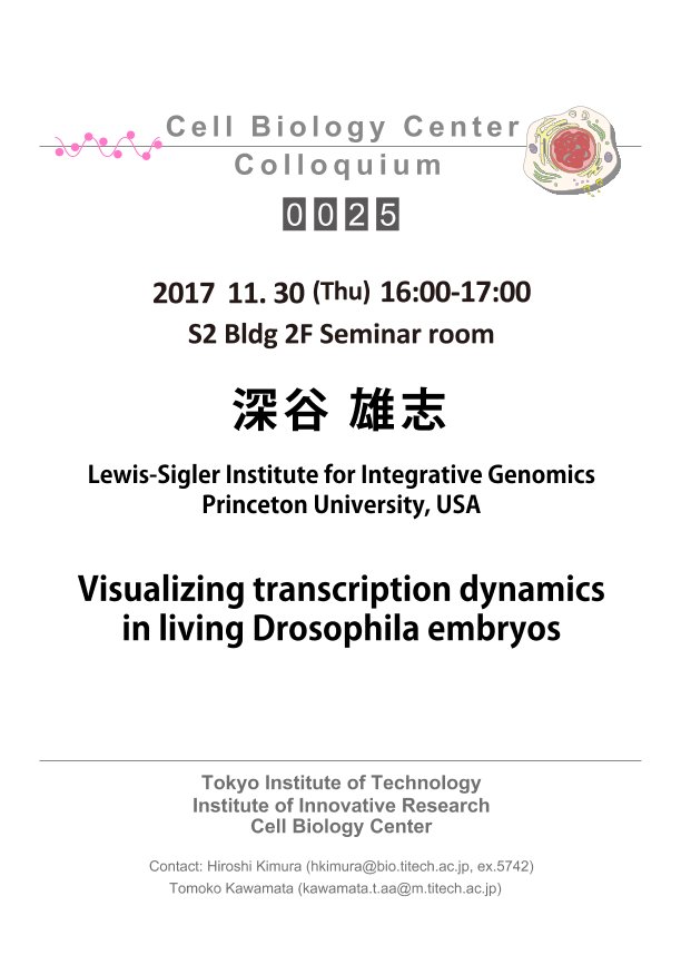 2017.11.30 Thu Cell Biology Center Colloquium 0025 深谷 雄志 博士 / Visualizing transcription dynamics in living Drosophila embryos