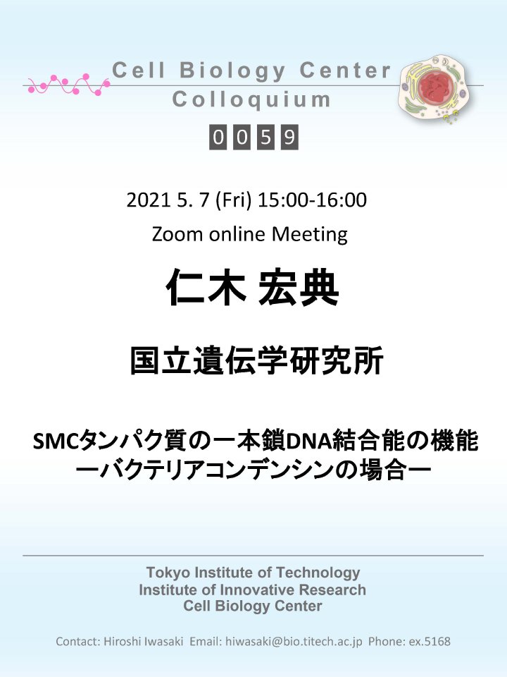 2021.05.07 Fri Cell Biology Center Colloquium 0059 仁木 宏典 博士 / SMCタンパク質の一本鎖DNA結合能の機能―バクテリアコンデンシンの場合―