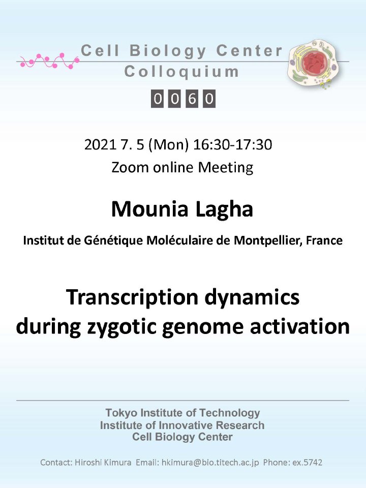 2021.07.05 Mon Cell Biology Center Colloquium 0060 Dr. Mounia Lagha / Transcription dynamics during genome activation