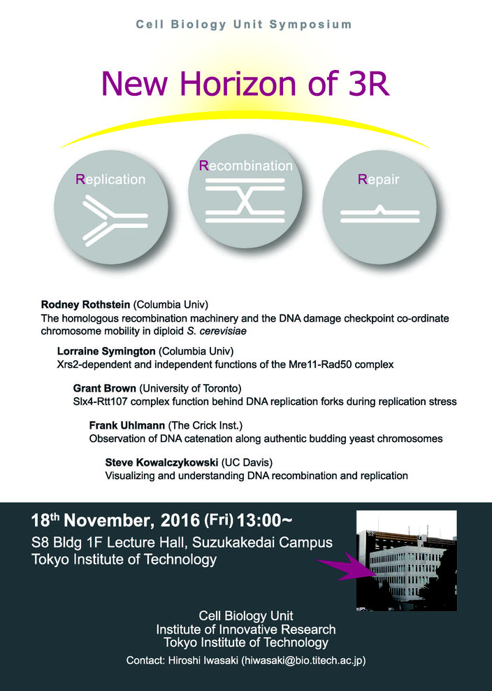 International Mini Symposium [New Horizon of 3R (DNA replication, recombination, and repair]